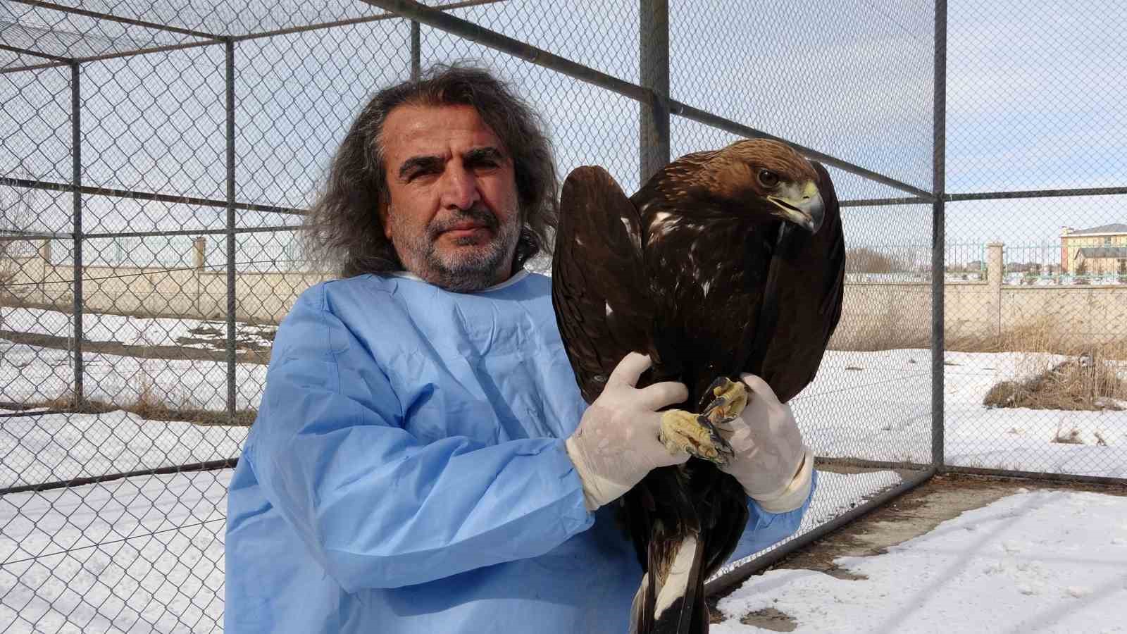 Van YYÜ’de yırtıcı kuşlar şifa bulup doğaya dönüyor
