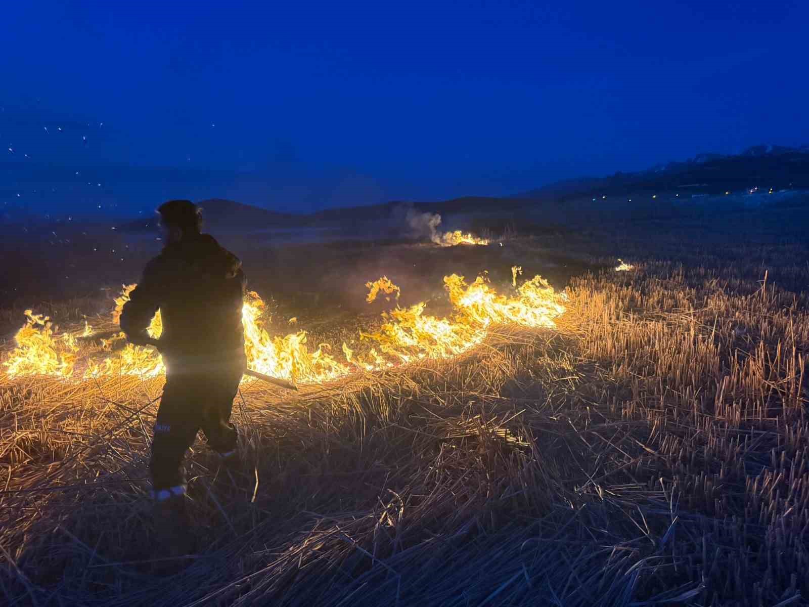Van’da 2 farklı sazlık alanda yangın çıktı
