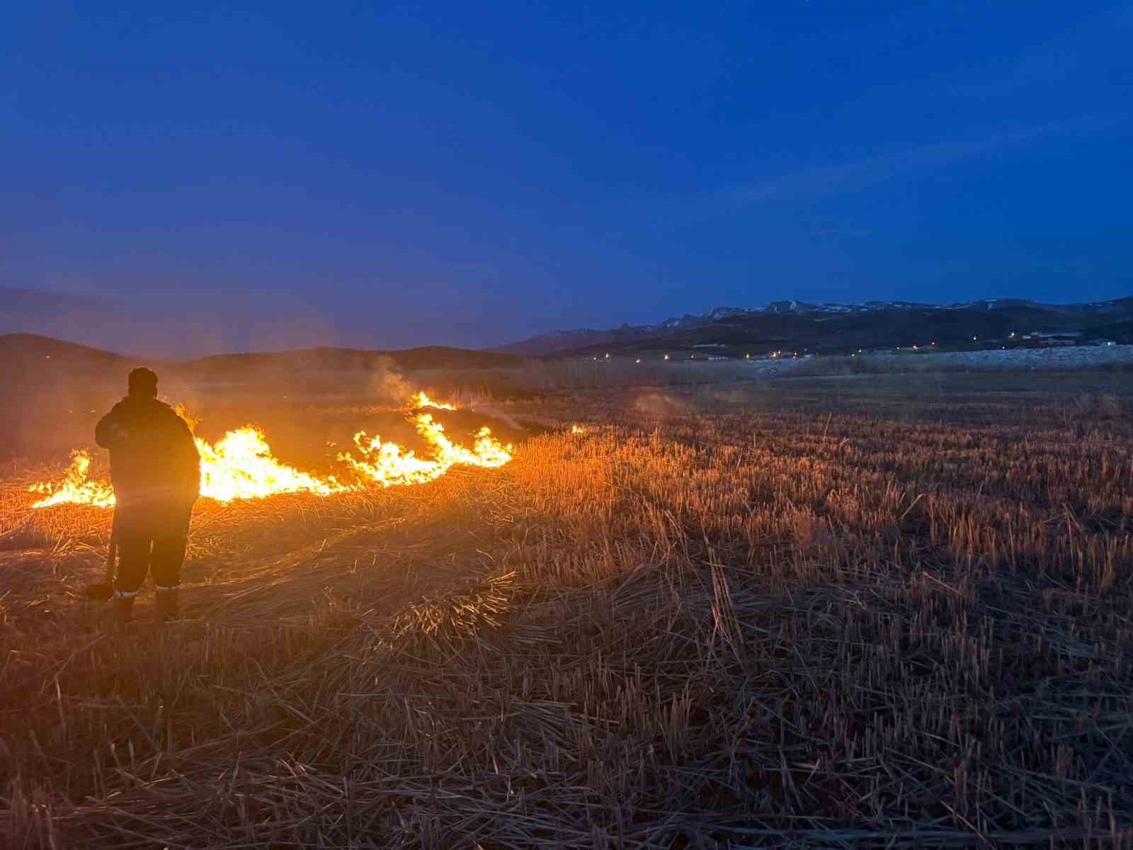 Van’da 2 farklı sazlık alanda yangın çıktı

