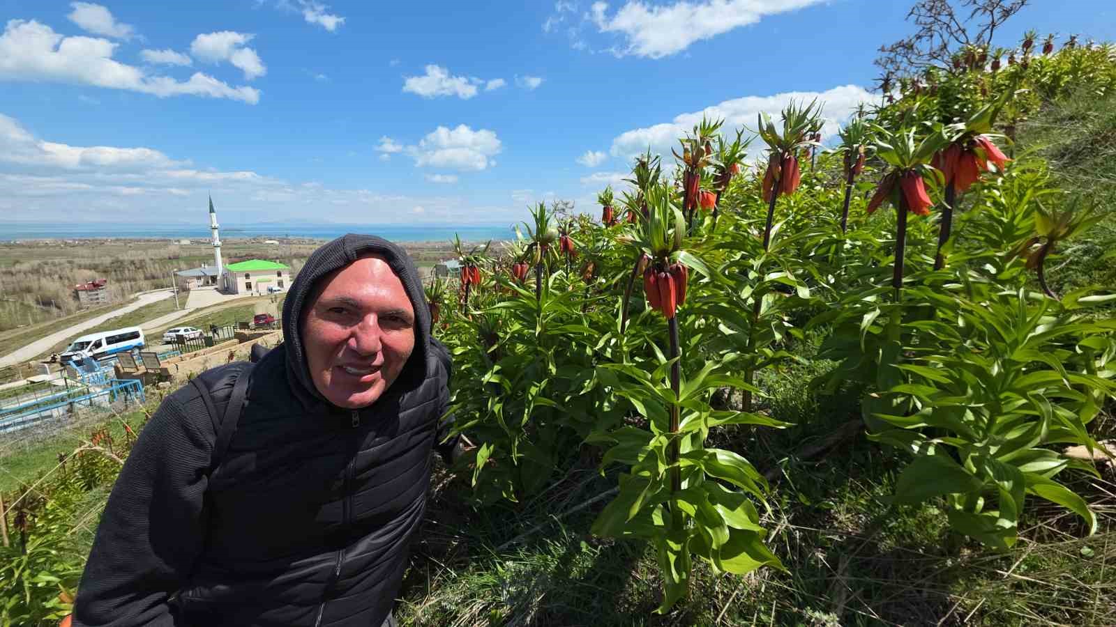 Van’da açan ters laleler göz kamaştırıyor
