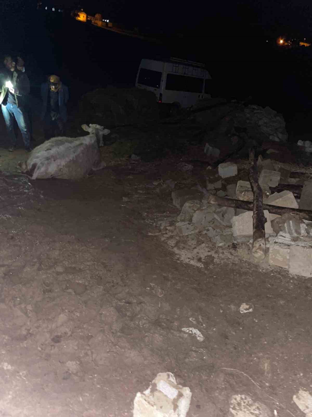 Van’da ahır çöktü: 56 küçükbaş hayvan telef oldu
