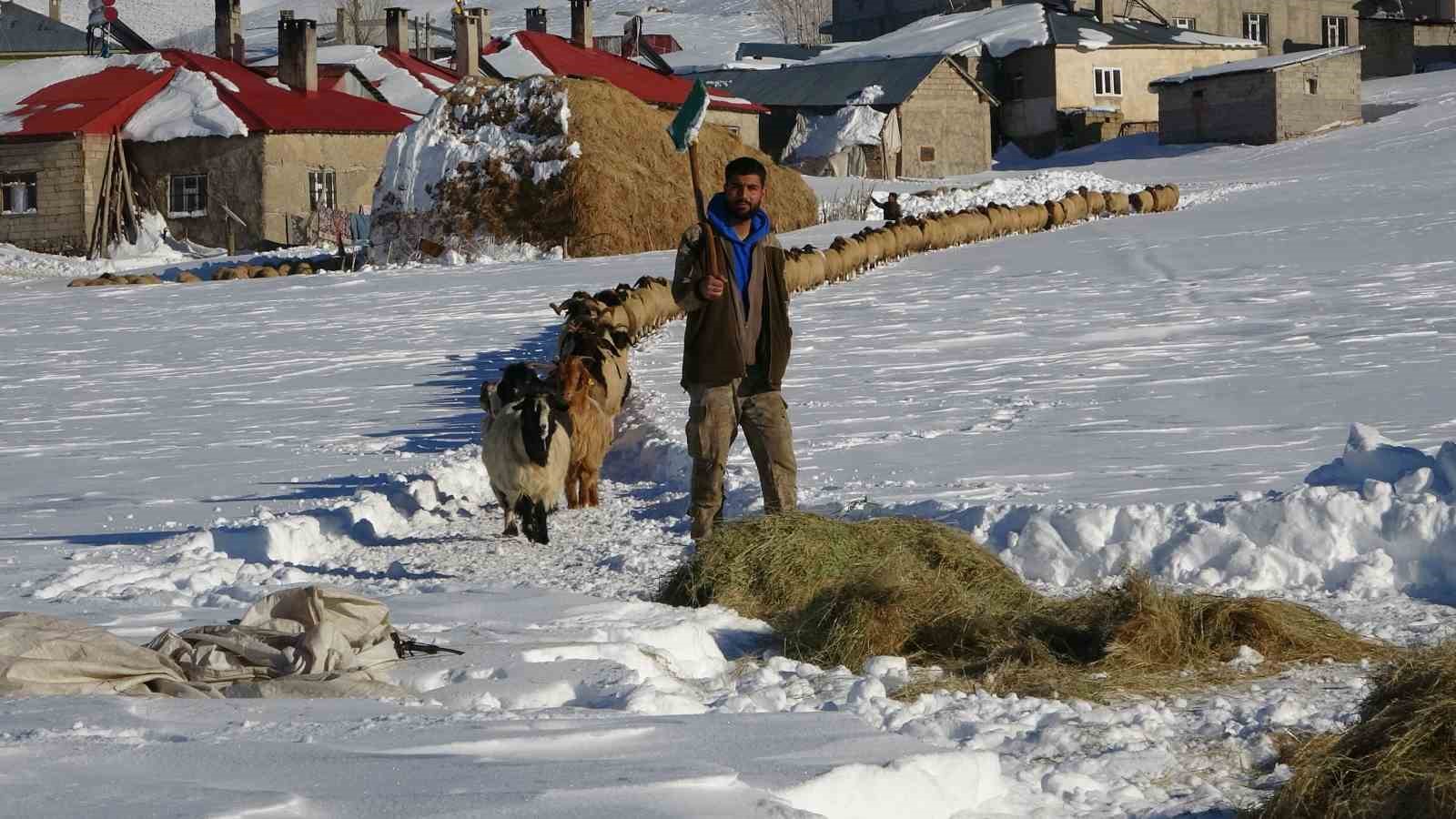 Van’da besicilerin karda zorlu mesaisi sürüyor
