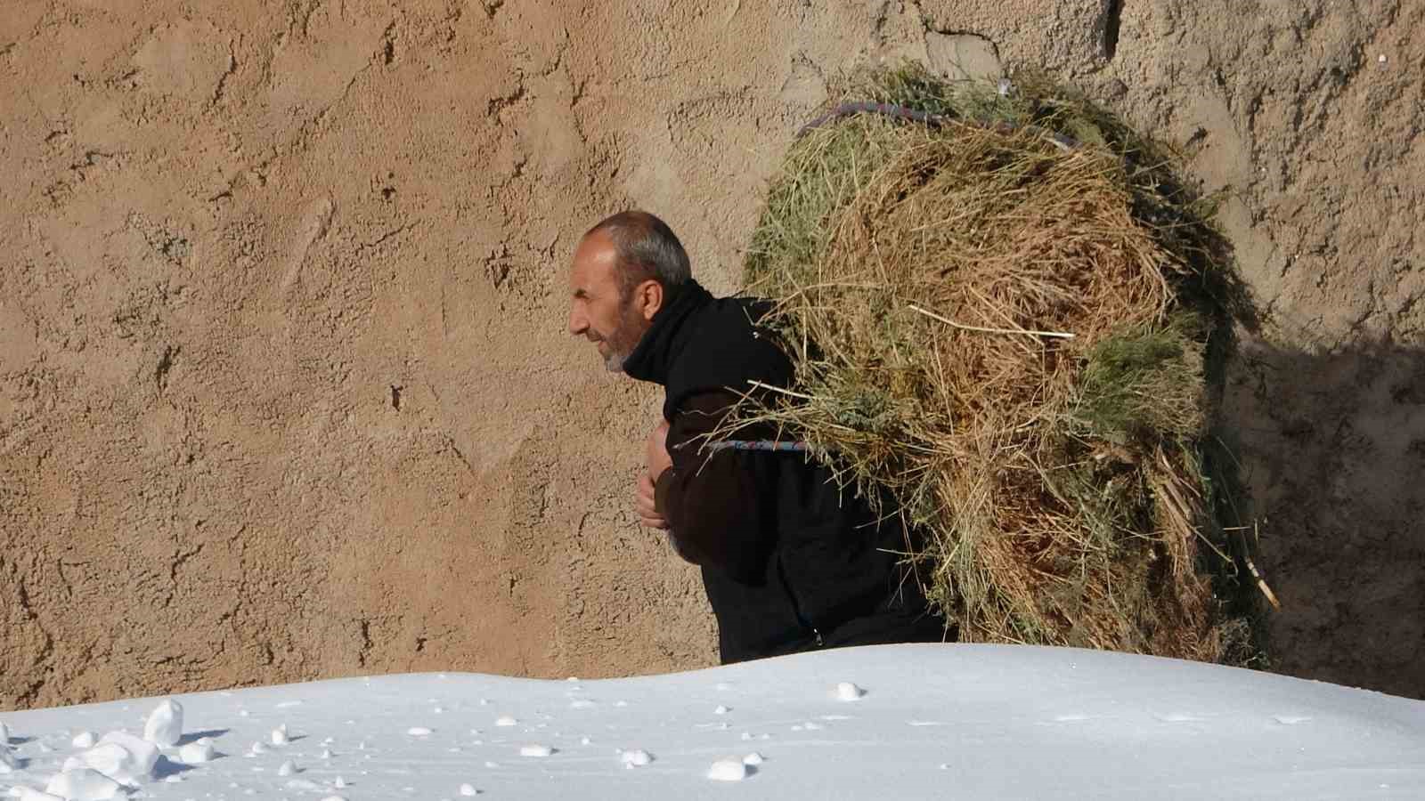 Van’da besicilerin zorlu kış mesaisi
