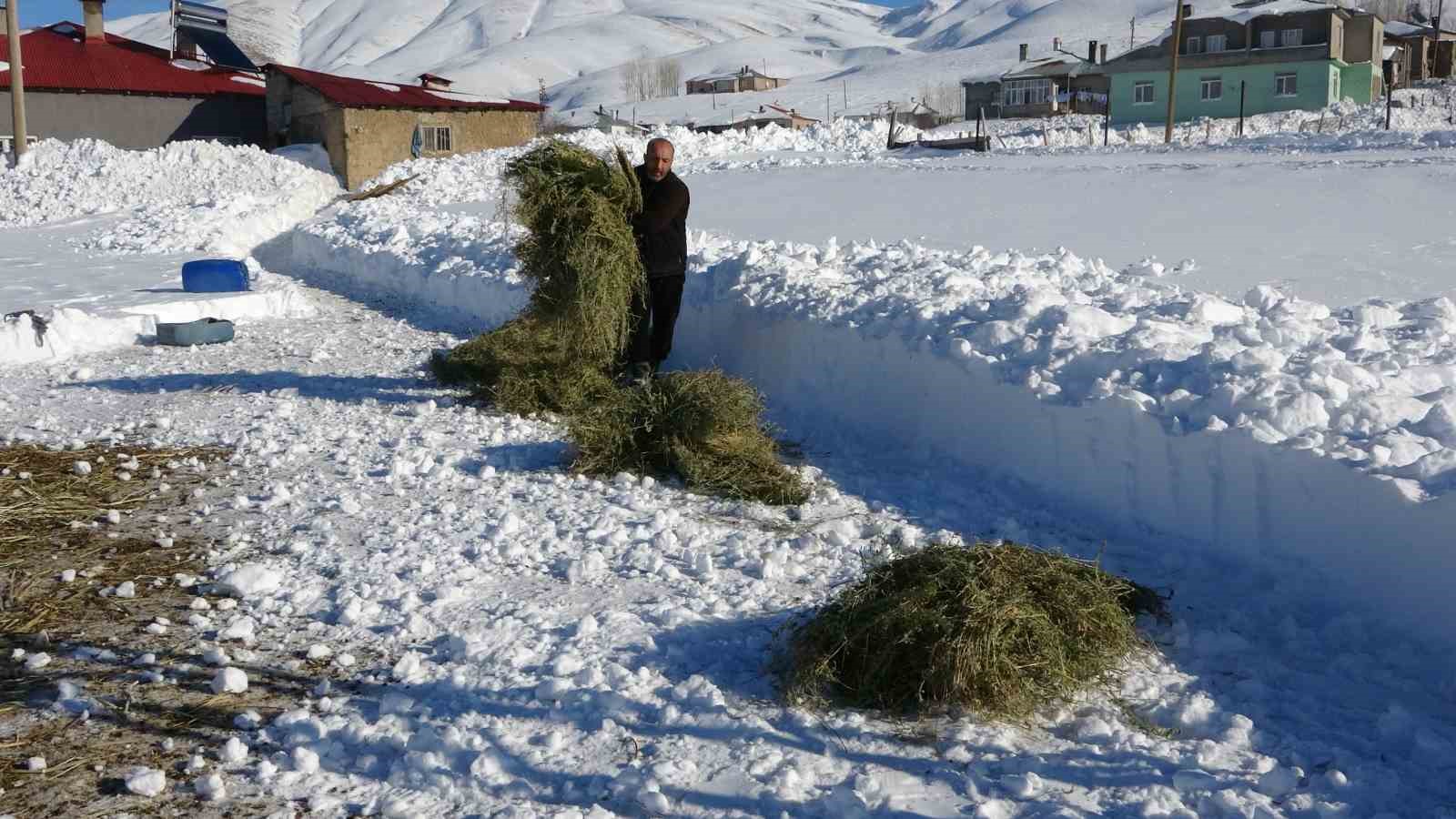 Van’da besicilerin zorlu kış mesaisi
