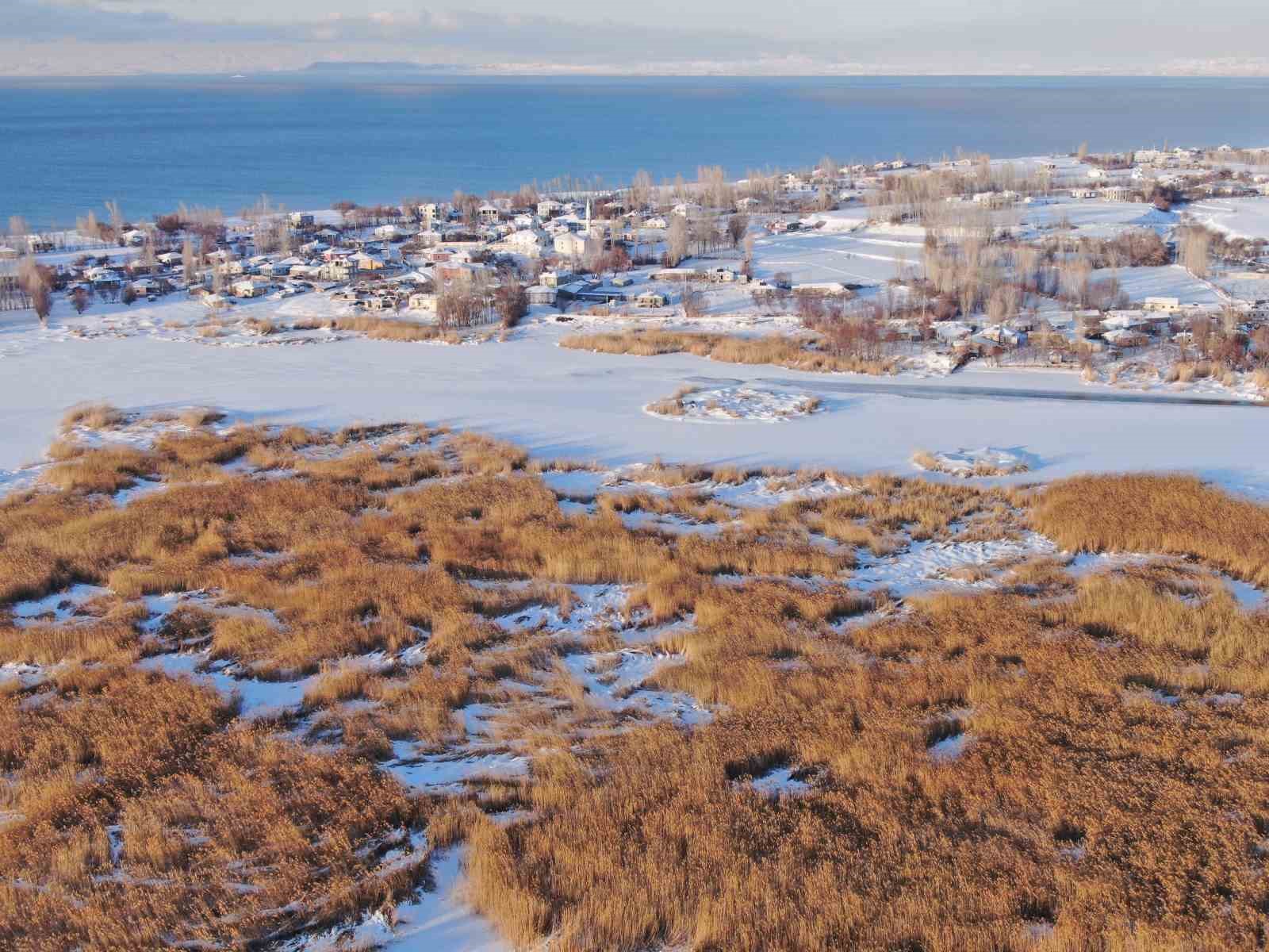 Van’da beyaz esaret görsel şölene dönüştü: Yerleşim yerleri beyaz gelinliğini giydi
