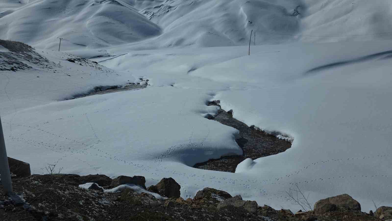 Van’da dondurucu soğuklar: Kar yağışı sonrası dereler buz tuttu
