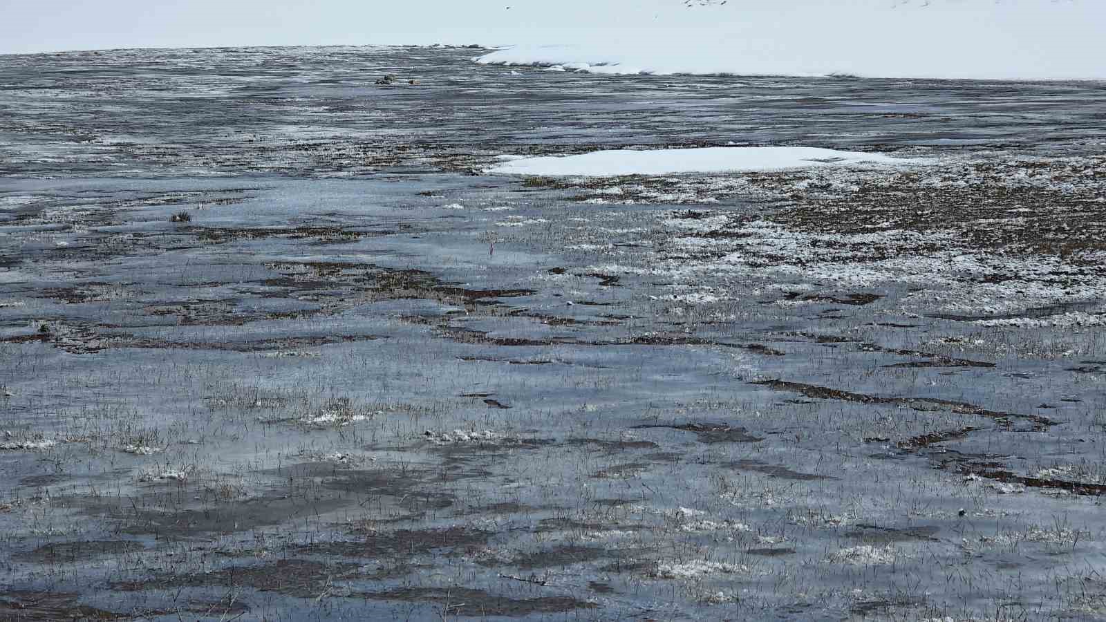 Van’da dondurucu soğuklar: Kar yağışı sonrası dereler buz tuttu
