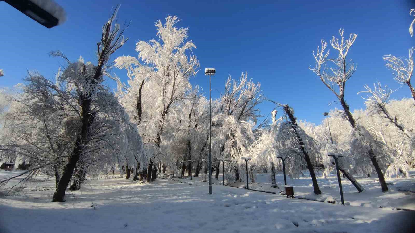 Van’da gece yağan kar kartpostallık manzaralar oluşturdu
