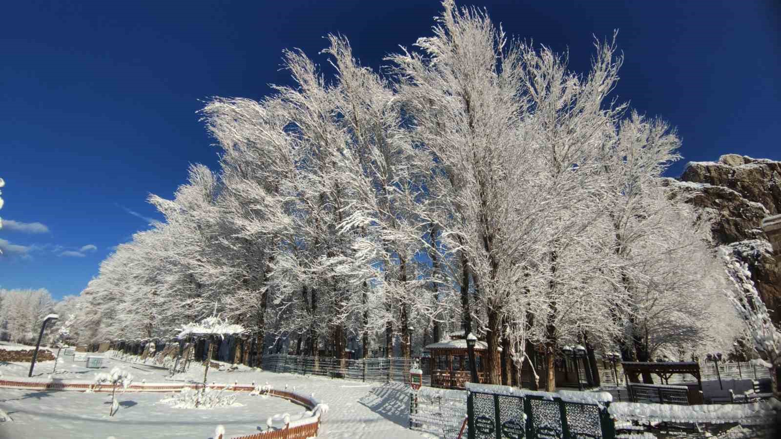 Van’da gece yağan kar kartpostallık manzaralar oluşturdu
