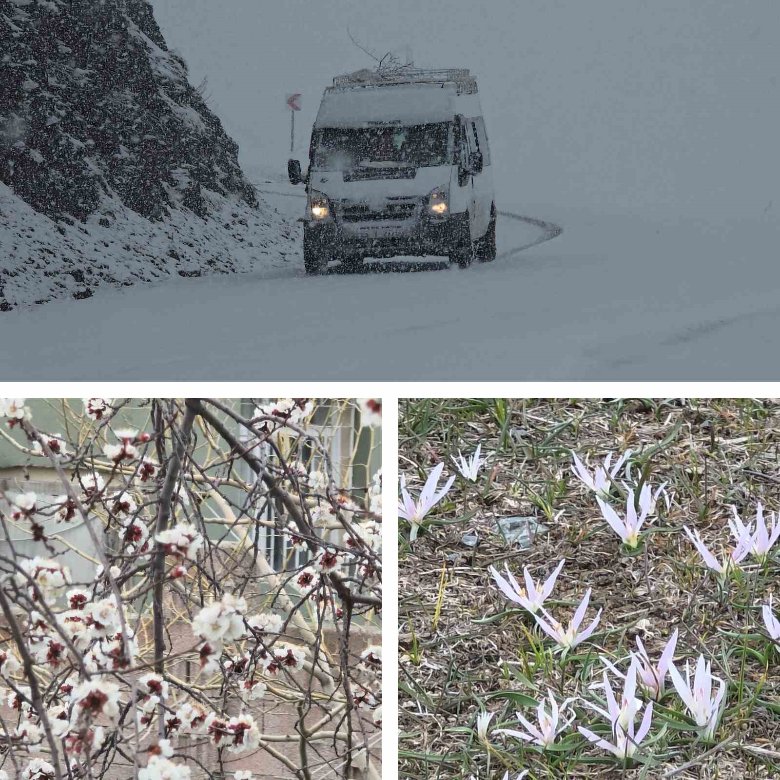 Van’da iki mevsim bir arada: Bir yanda bahar, diğer yanda kış
