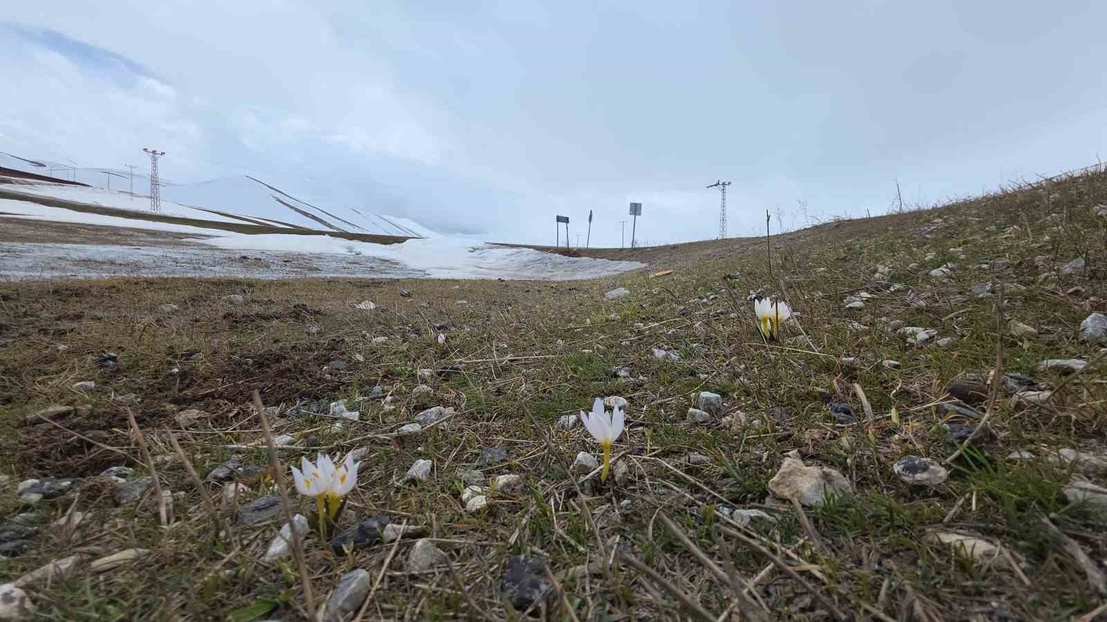 Van’da iki mevsim bir arada
