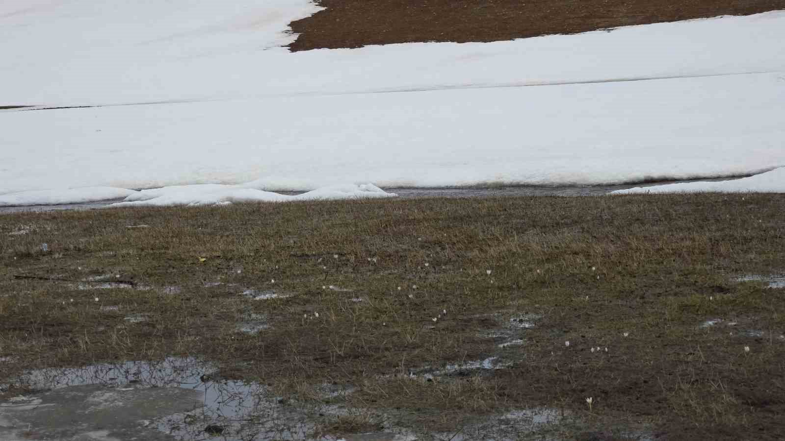 Van’da iki mevsim bir arada
