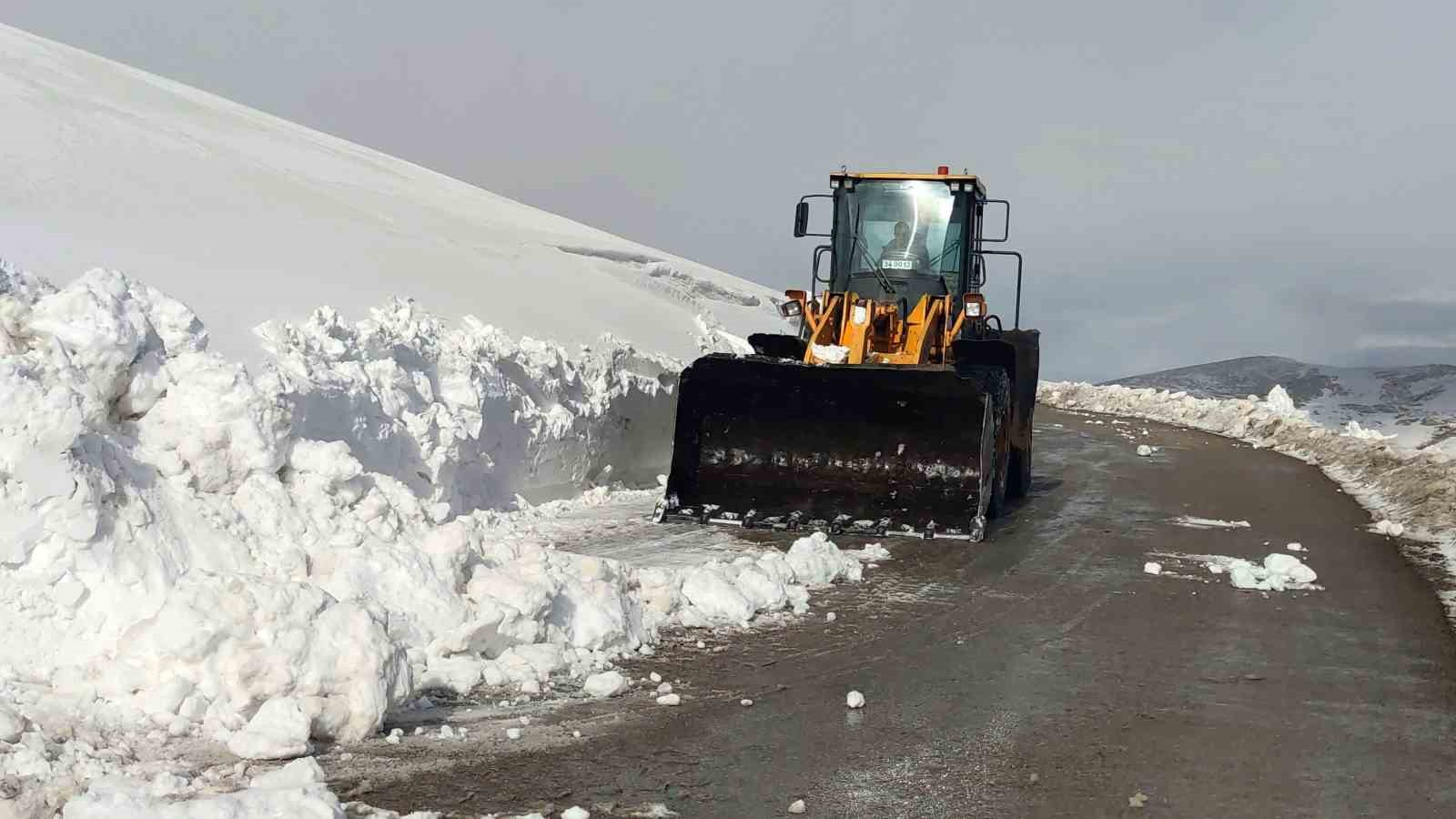 Van’da kar nedeniyle kapanan 67 yerleşim yerinin yolu açılıyor
