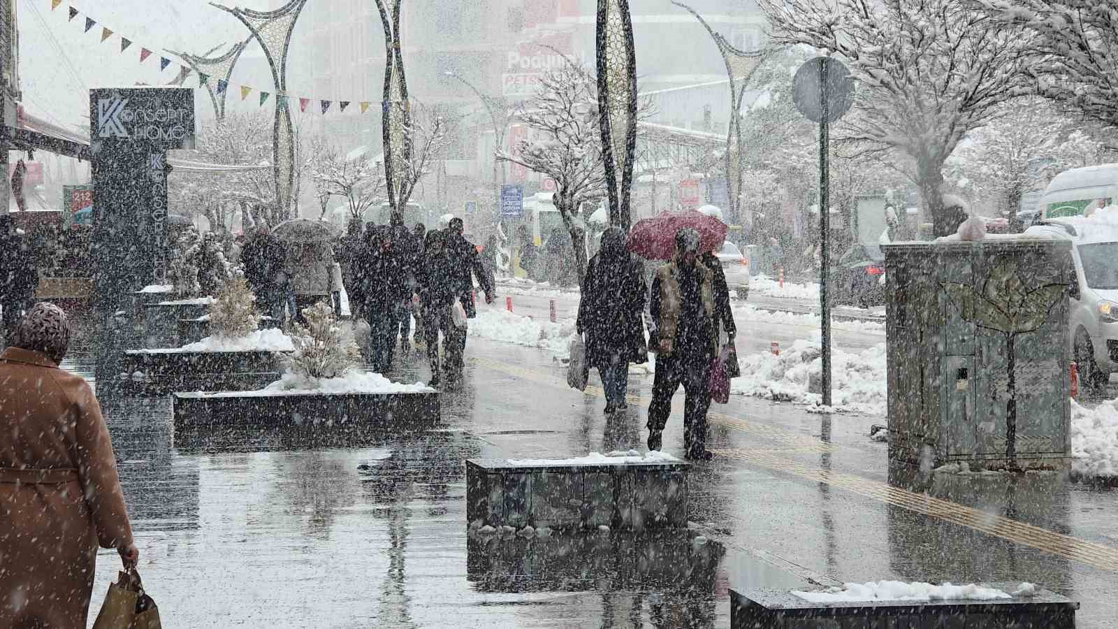 Van’da kar yağışı ve sis etkili oluyor
