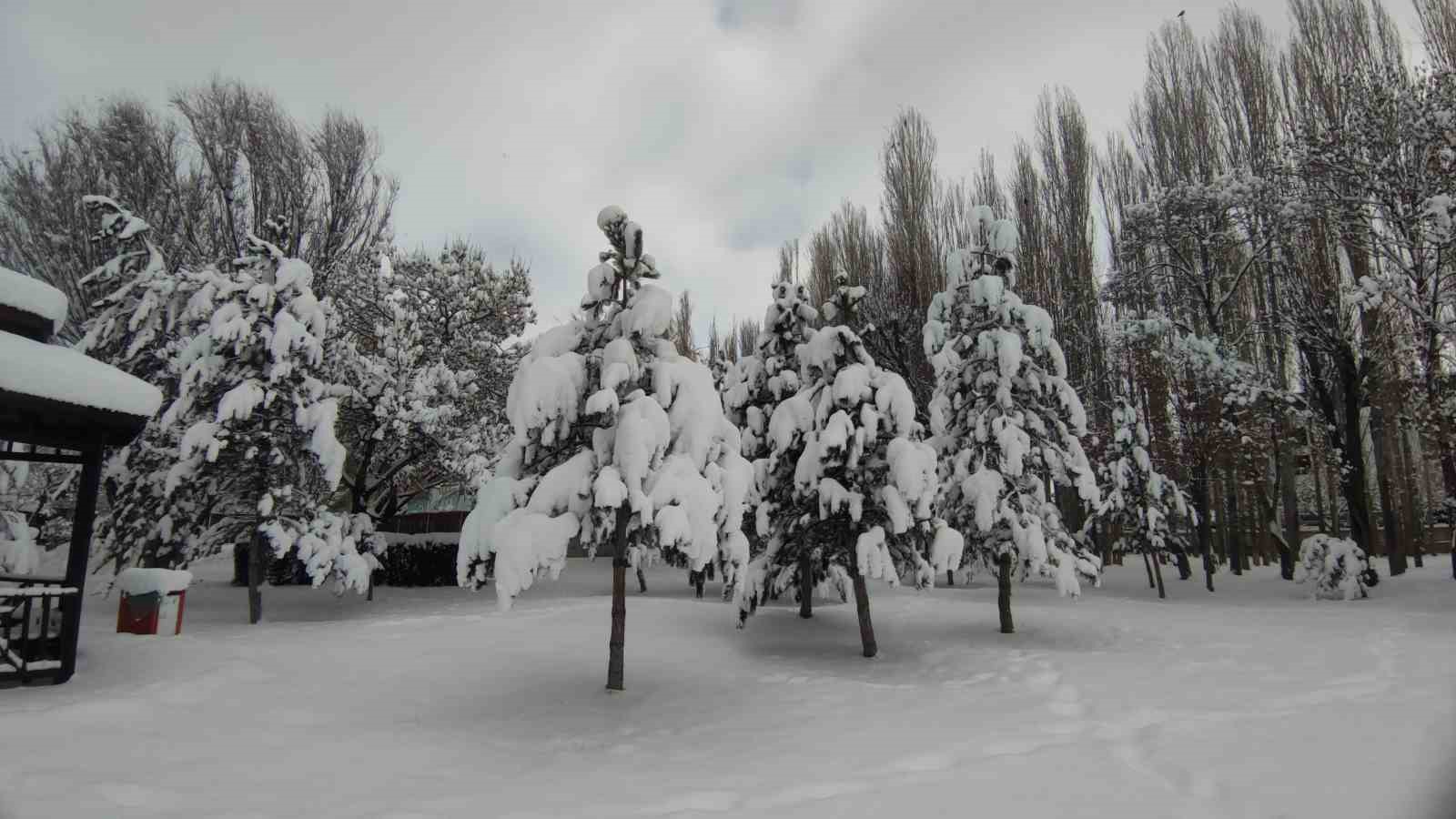 Van’da karla gelen güzellik: Ağaçlar kartpostallık manzaralar oluşturdu
