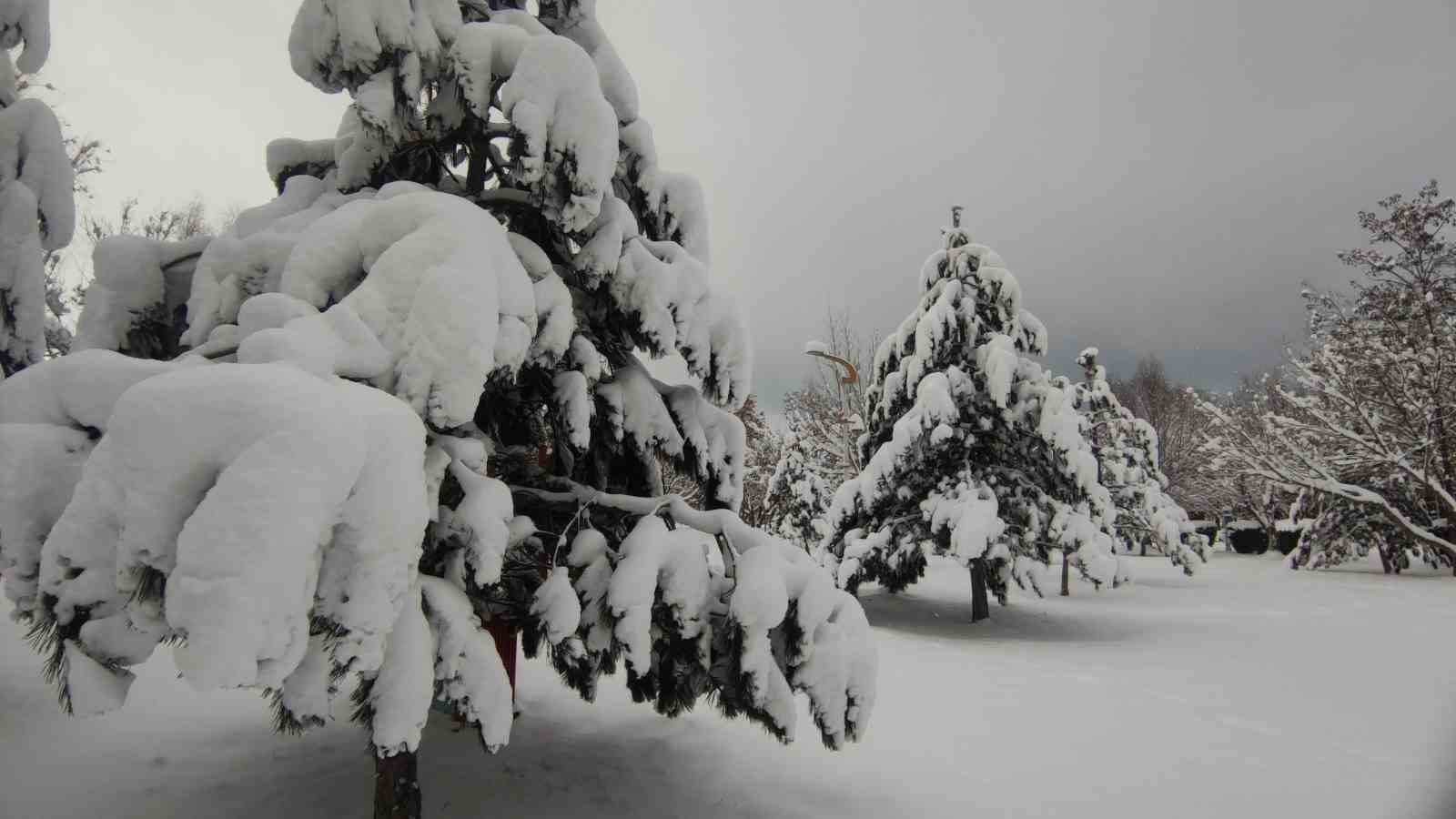 Van’da karla gelen güzellik: Ağaçlar kartpostallık manzaralar oluşturdu
