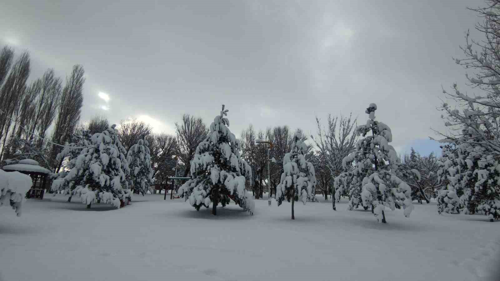 Van’da karla gelen güzellik: Ağaçlar kartpostallık manzaralar oluşturdu
