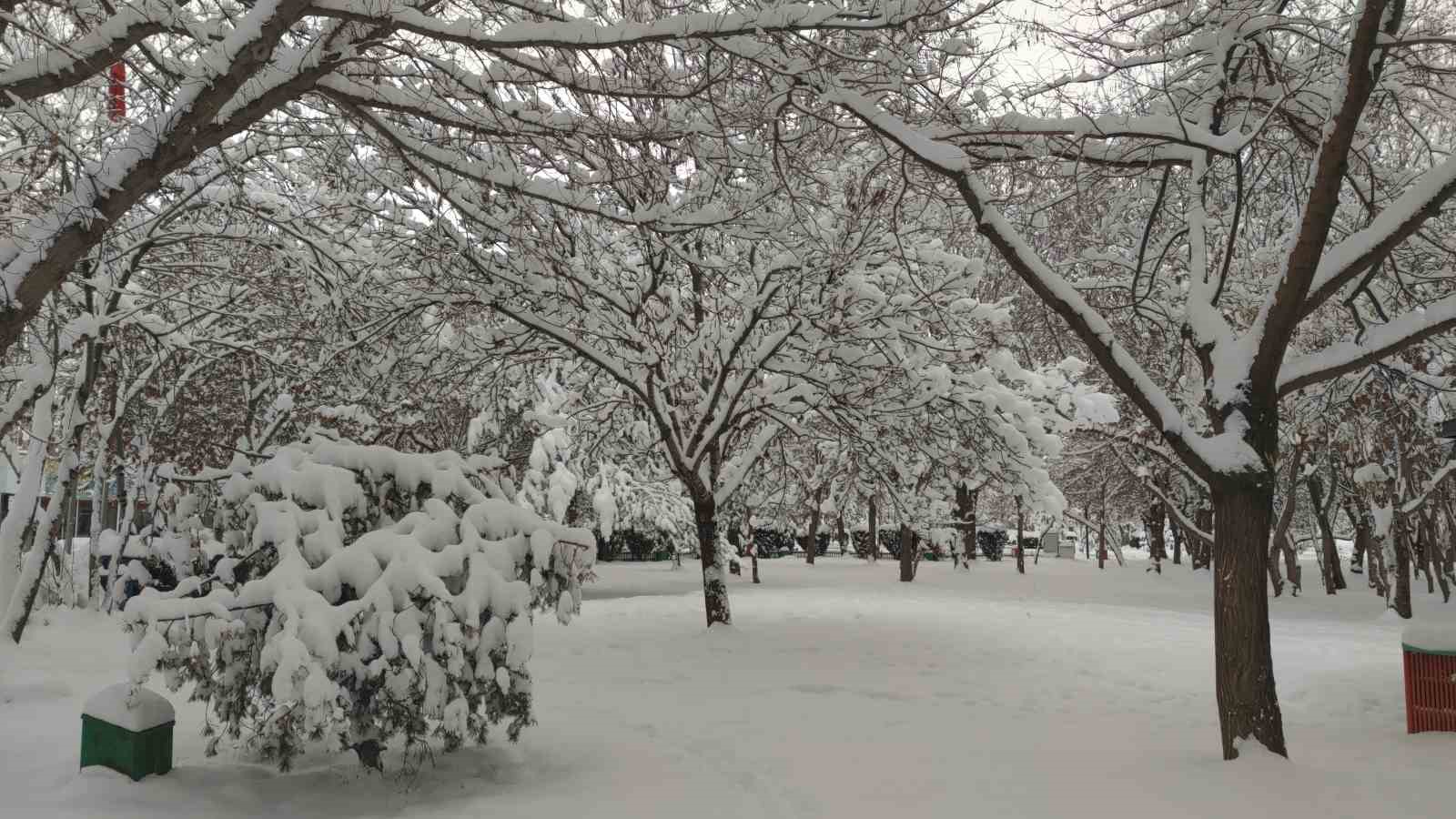 Van’da karla gelen güzellik: Ağaçlar kartpostallık manzaralar oluşturdu
