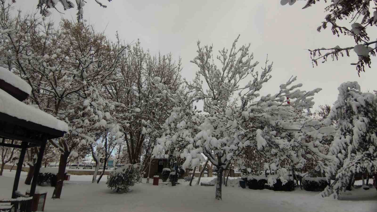 Van’da karla gelen güzellik: Ağaçlar kartpostallık manzaralar oluşturdu
