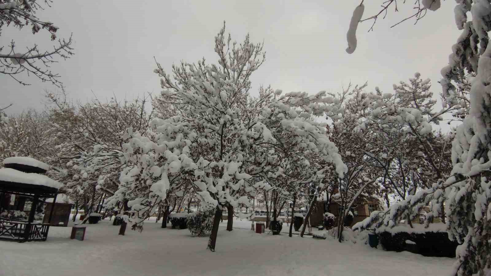 Van’da karla gelen güzellik: Ağaçlar kartpostallık manzaralar oluşturdu
