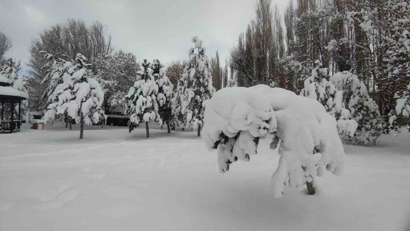 Van’da karla gelen güzellik: Ağaçlar kartpostallık manzaralar oluşturdu
