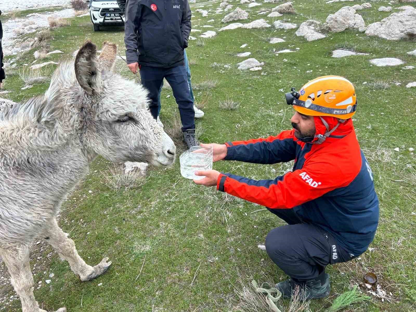 Van’da kayalıklarda mahsur kalan eşek kurtarıldı

