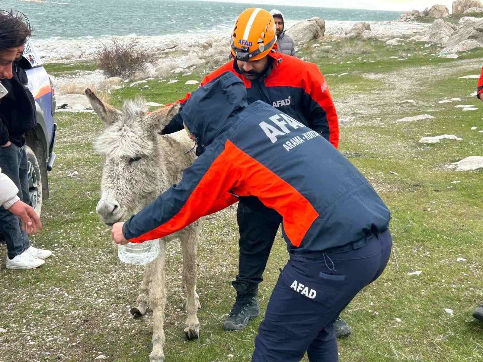 Van’da kayalıklarda mahsur kalan eşek kurtarıldı
