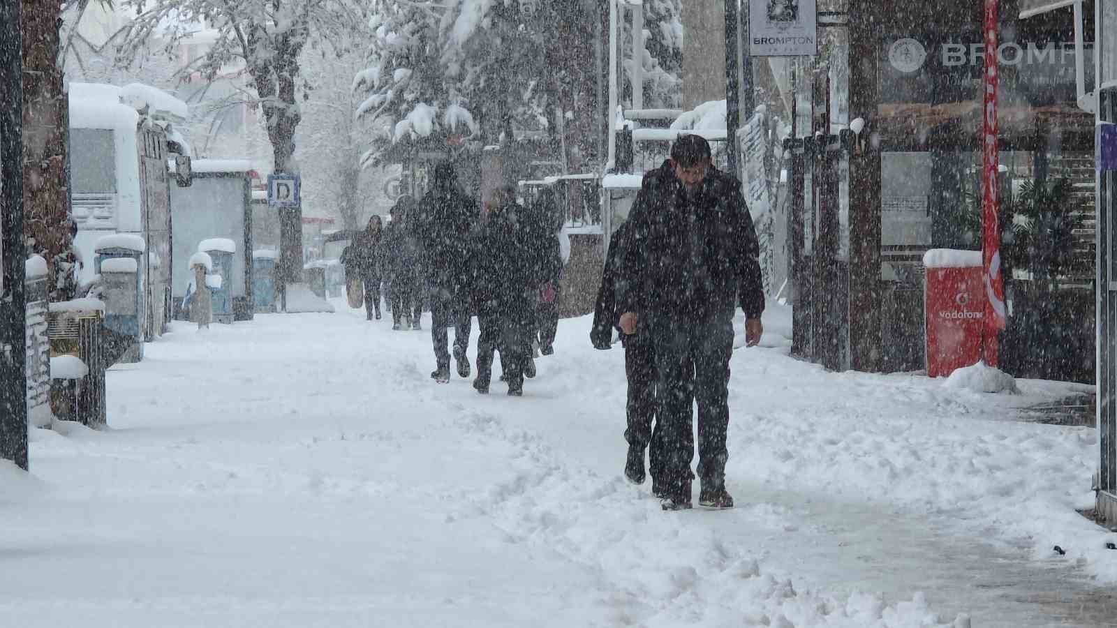 Van’da Mart sürprizi: Bahar beklerken kar kapıya dayandı
