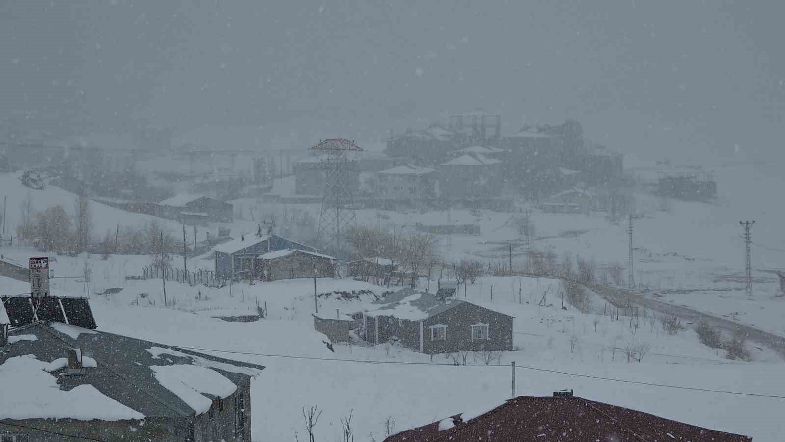 Van’da nisan sürprizi: Lapa lapa kar yağışı şehri beyaza bürüdü
