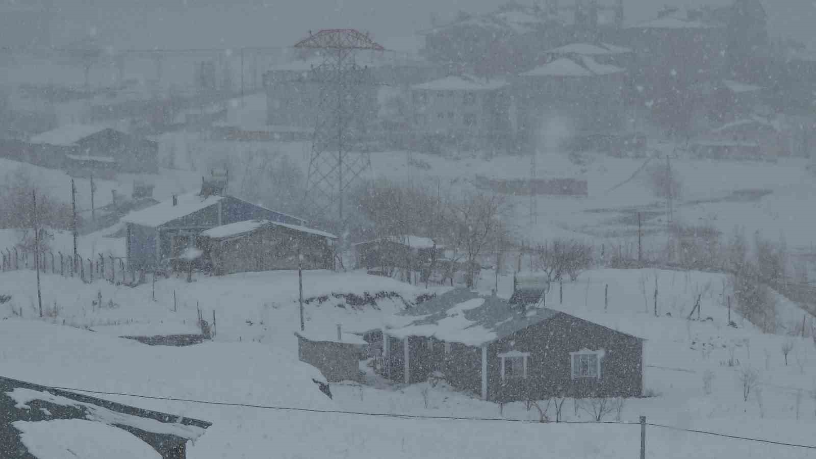 Van’da nisan sürprizi: Lapa lapa kar yağışı şehri beyaza bürüdü
