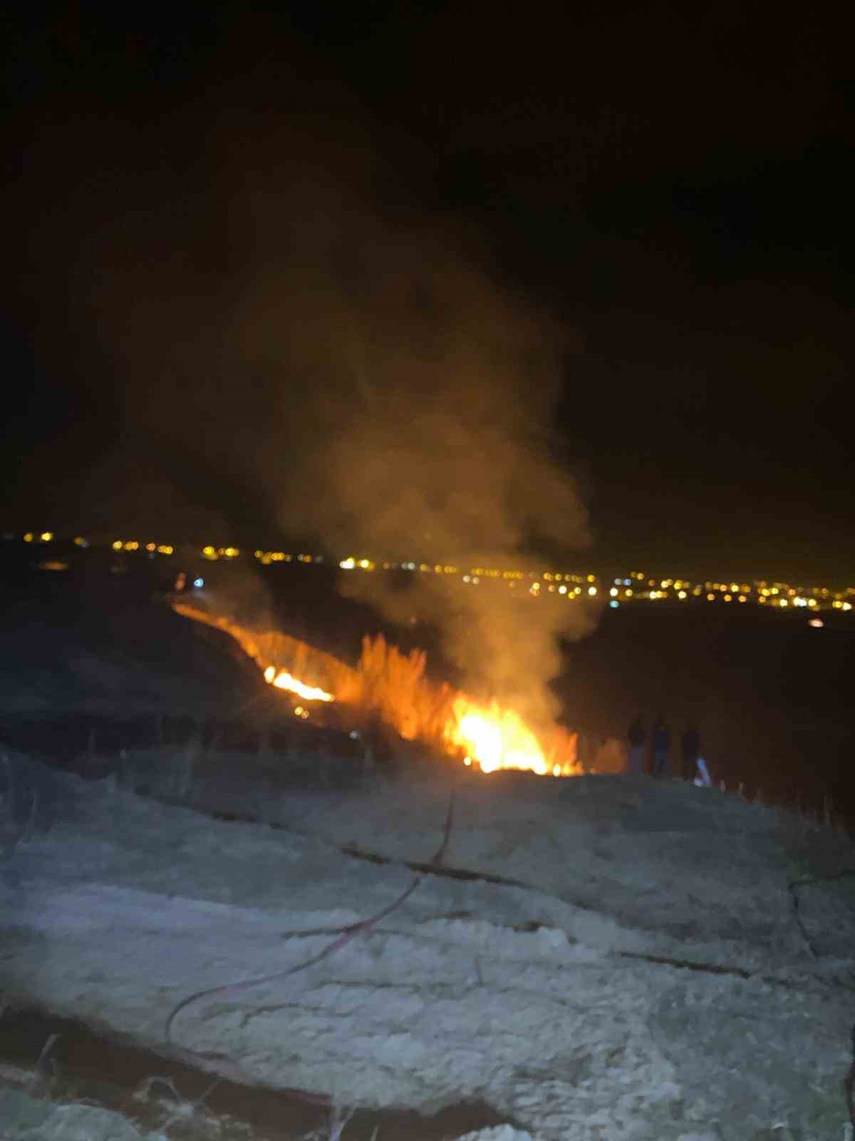 Van’da sazlık alanda yangın çıktı
