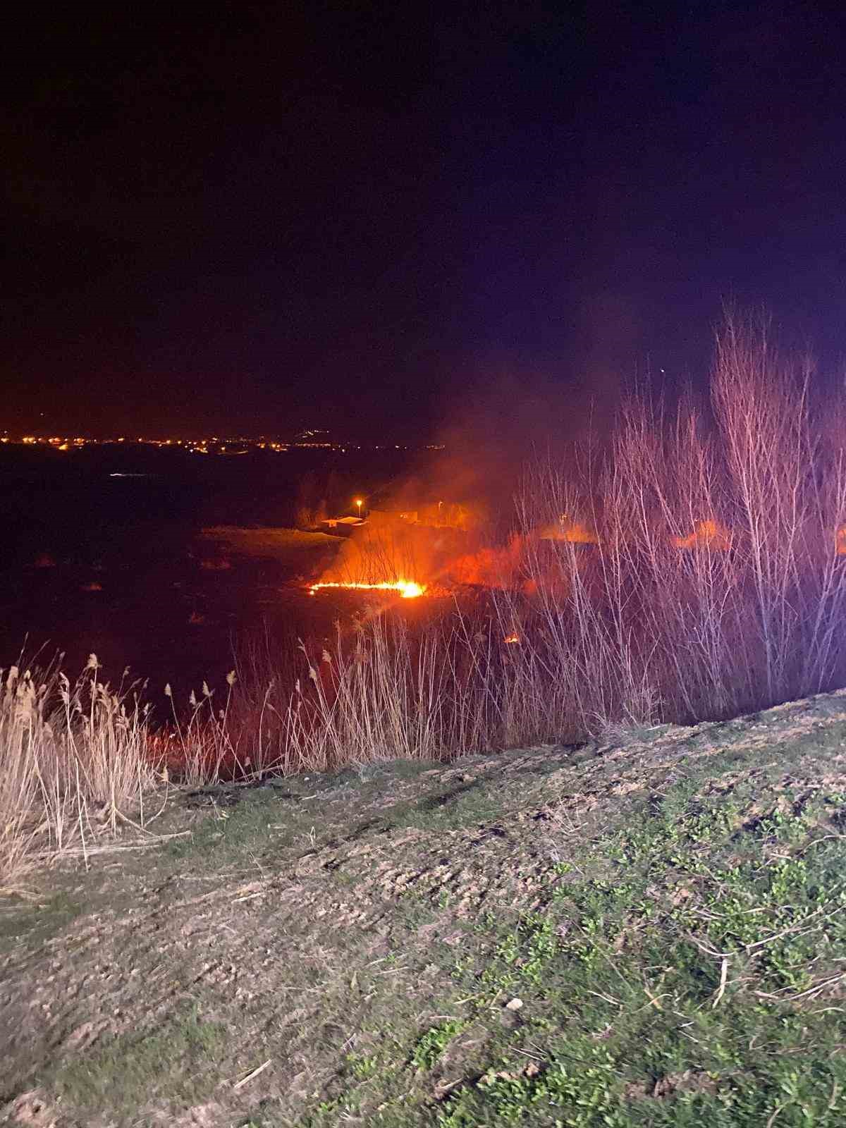 Van’da sazlık alanda yangın çıktı
