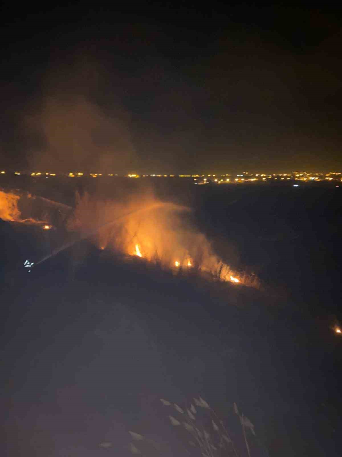 Van’da sazlık alanda yangın çıktı
