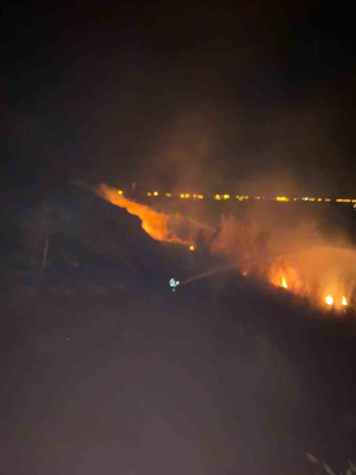 Van’da sazlık alanda yangın çıktı
