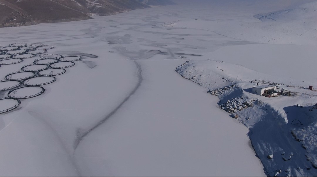 Van’da Sibirya soğukları: Dev barajlar buz tuttu
