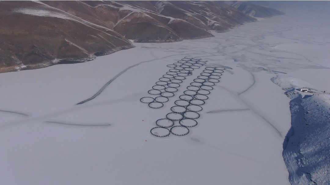 Van’da Sibirya soğukları: Dev barajlar buz tuttu
