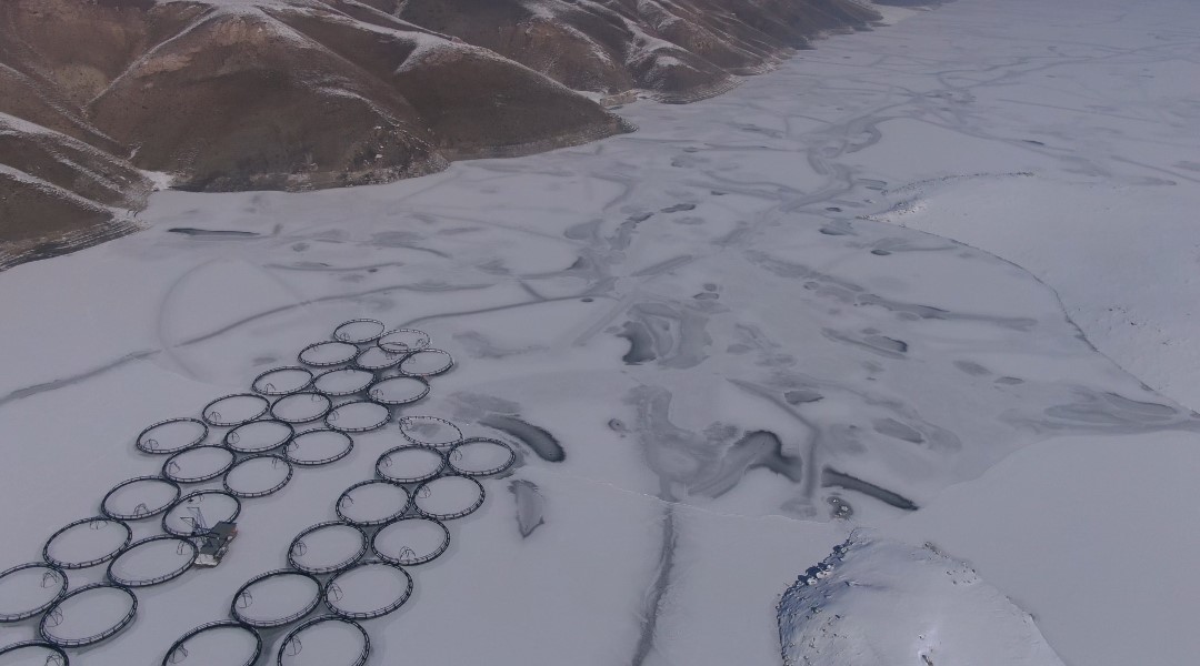 Van’da Sibirya soğukları: Dev barajlar buz tuttu
