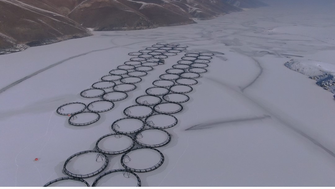 Van’da Sibirya soğukları: Dev barajlar buz tuttu
