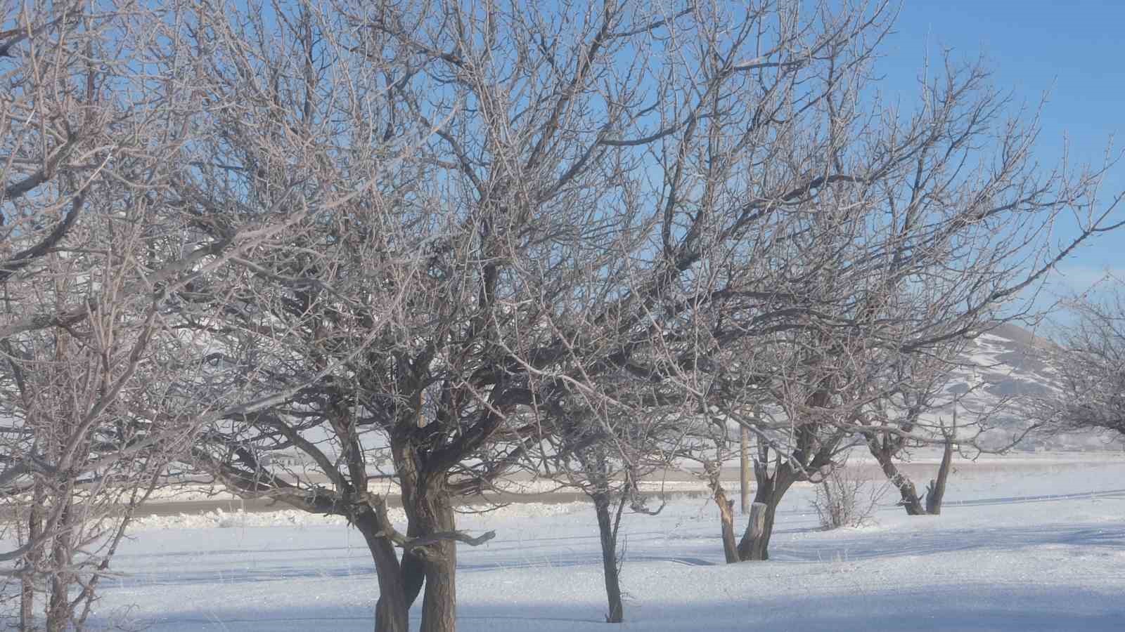Van’da Sibirya soğukları hayatı olumsuz etkiliyor
