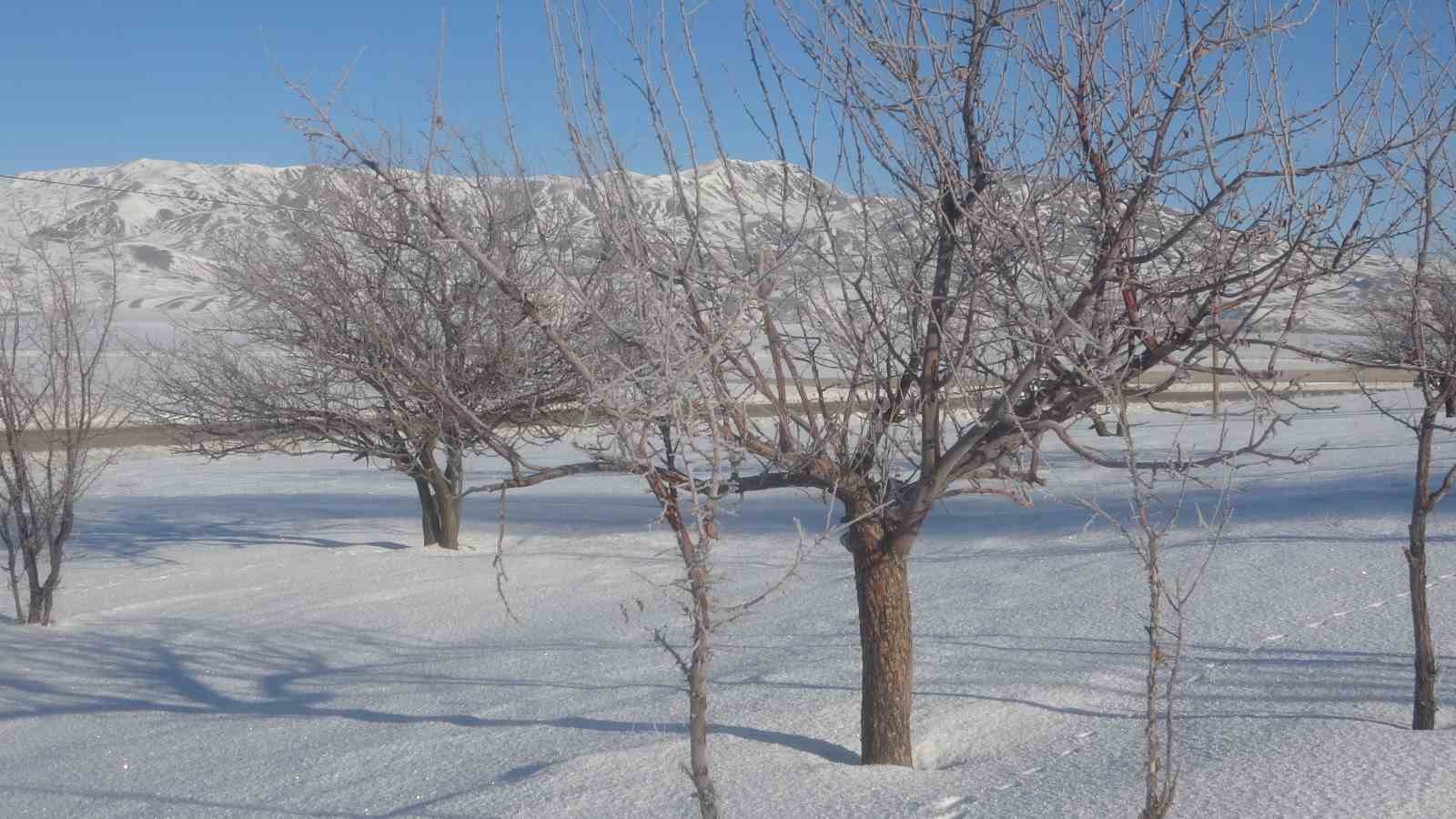 Van’da Sibirya soğukları hayatı olumsuz etkiliyor
