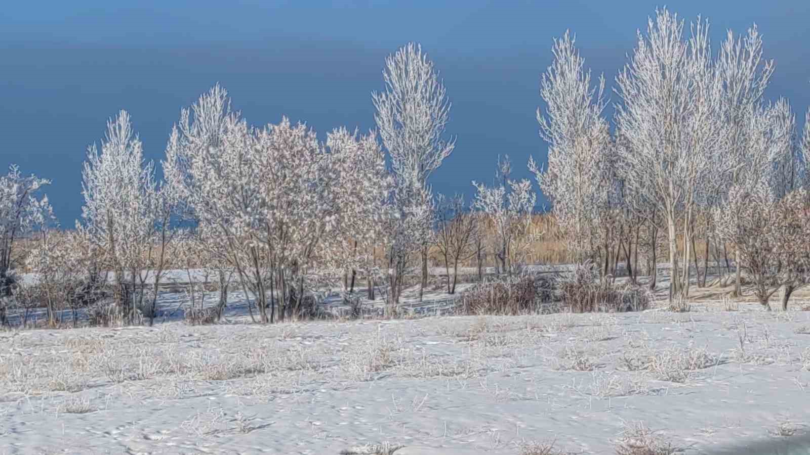 Van’da Sibirya soğukları hayatı olumsuz etkiliyor
