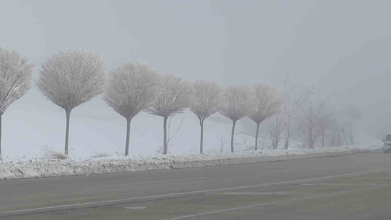 Van’da Sibirya soğukları hayatı olumsuz etkiliyor
