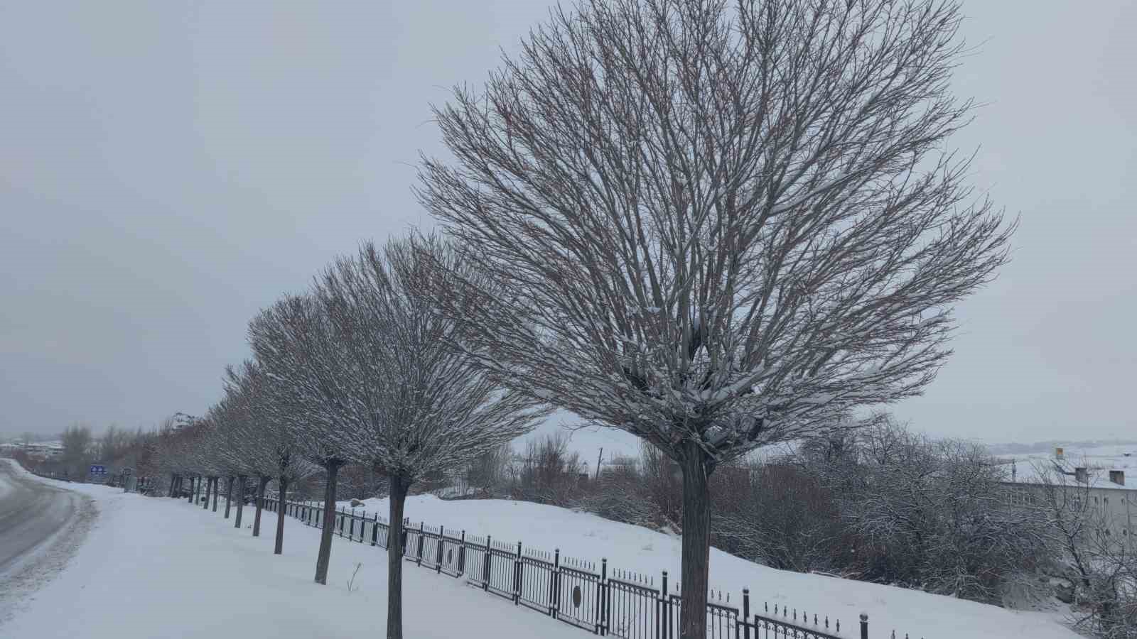 Van’da Sibirya soğukları hayatı olumsuz etkiliyor
