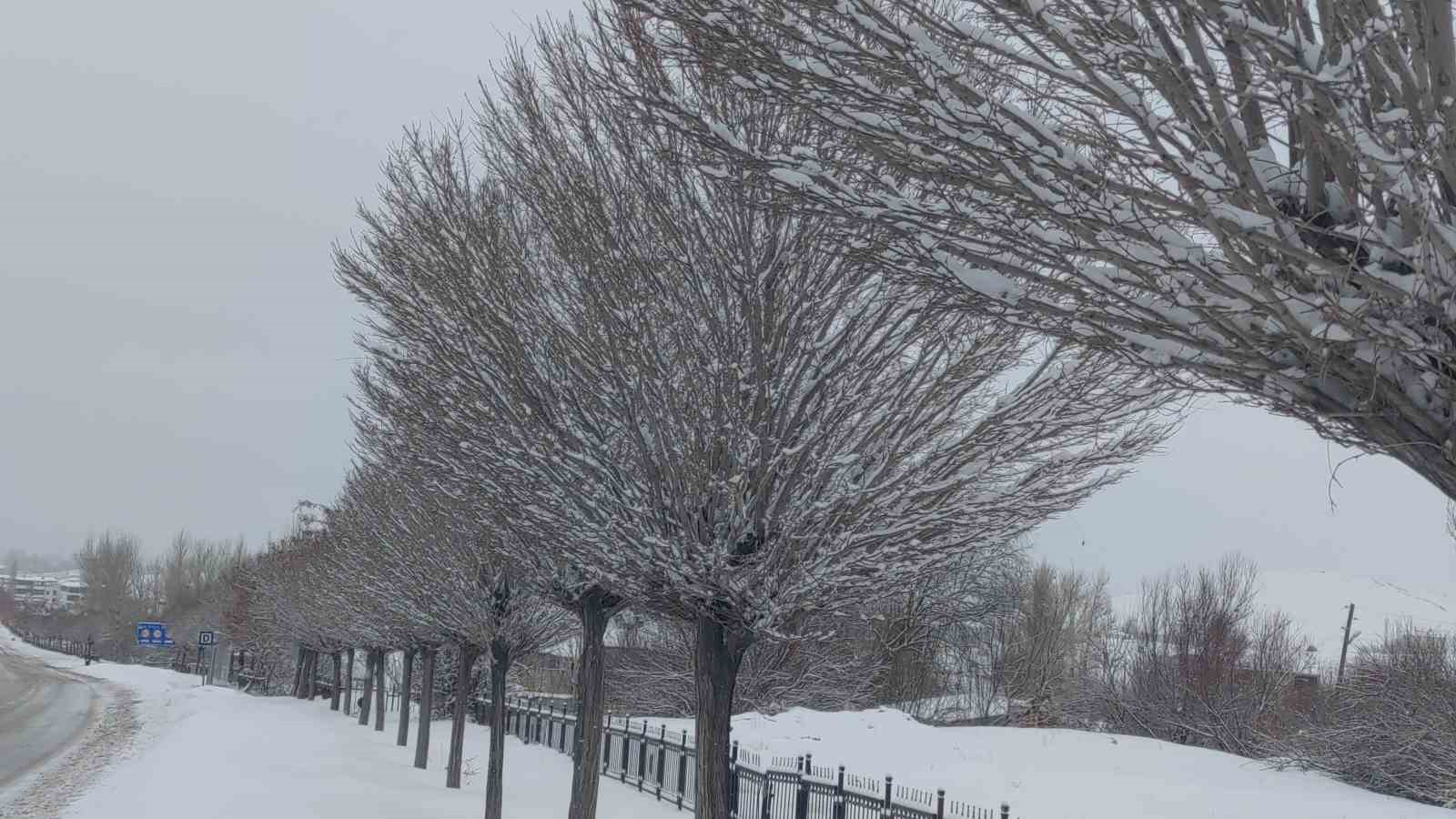 Van’da Sibirya soğukları hayatı olumsuz etkiliyor
