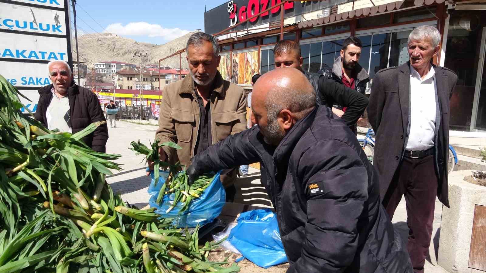 Van’da şifa kaynağı ‘çiriş otu’ tezgahlardaki yerini aldı
