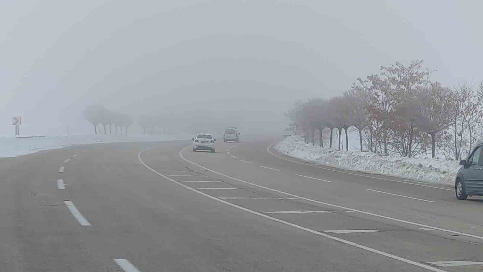 Van’da sis ulaşımı olumsuz etkiledi
