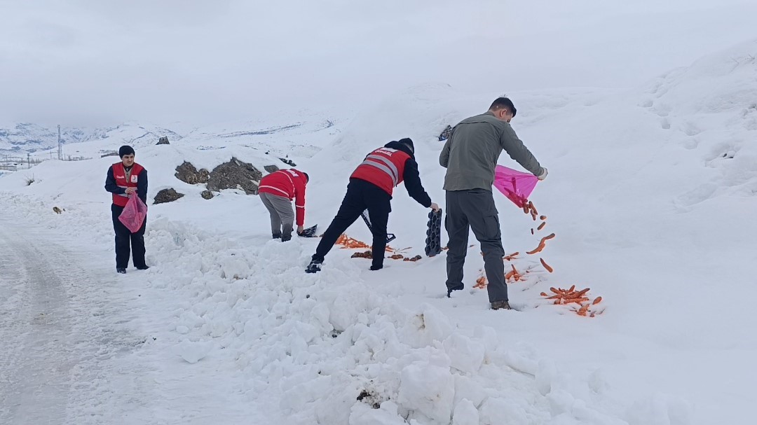 Van’da yaban hayvanları unutulmadı

