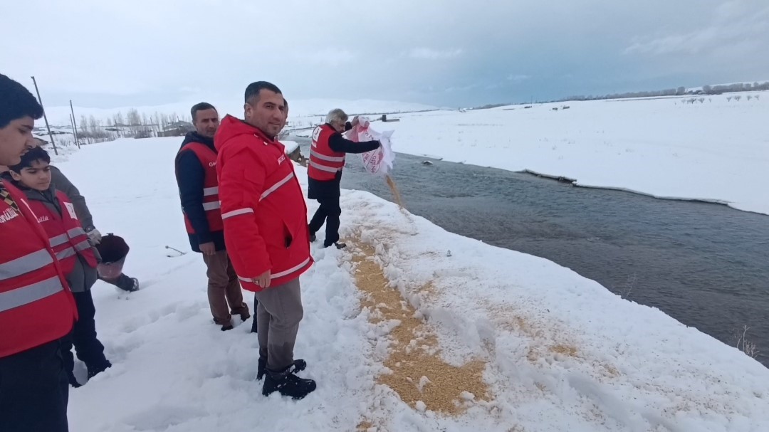 Van’da yaban hayvanları unutulmadı
