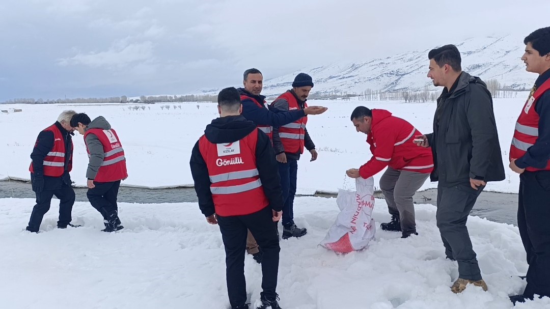 Van’da yaban hayvanları unutulmadı
