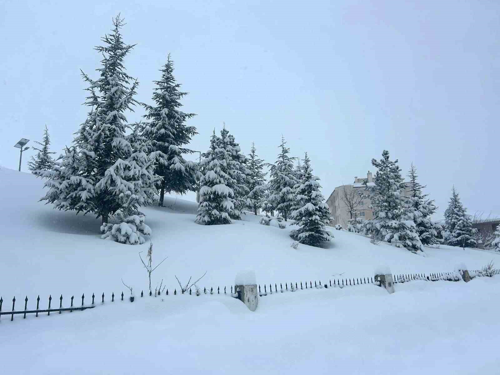 Van’da yoğun kar yağışı: 287 yerleşim yerine ulaşım sağlanamıyor
